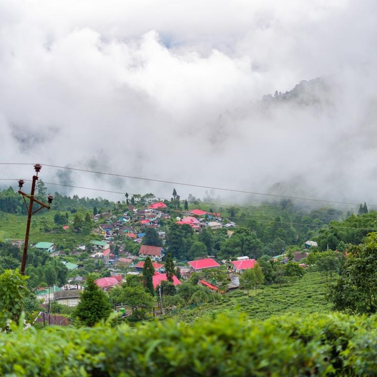 Family terraces and cafés for calm evenings in Zurich